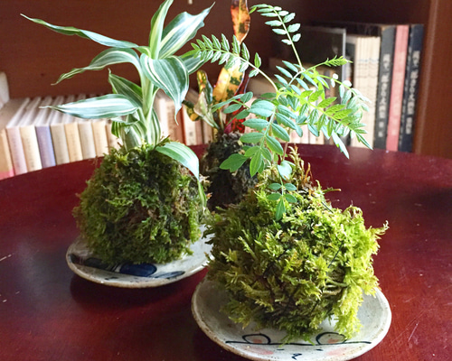 1_8762c0e18307cefb95c5dbc673b2