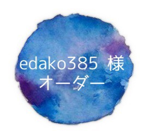 ✴︎edako385様オーダー✴︎ プレナイトのピアス 1枚目の画像