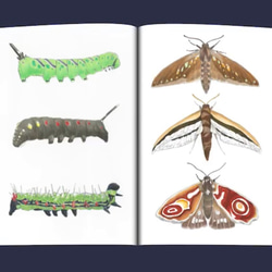 鉱物×幼虫・成虫 イラスト集 (フルカラー・A5サイズ・20ページ) 4枚目の画像