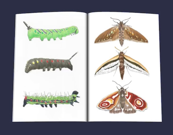 鉱物×幼虫・成虫 イラスト集 (フルカラー・A5サイズ・20ページ) 4枚目の画像