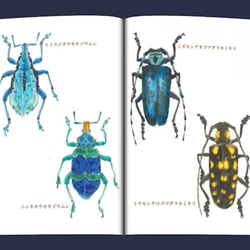 ✴︎新刊✴︎ 鉱物×甲虫 イラスト集 (フルカラー・A5サイズ・20ページ) 3枚目の画像
