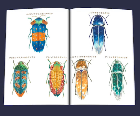 ✴︎新刊✴︎ 鉱物×甲虫 イラスト集 (フルカラー・A5サイズ・20ページ) 4枚目の画像