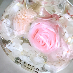 「Creema限定」 Herbarium "pink rose" コロコロコロン 1枚目の画像