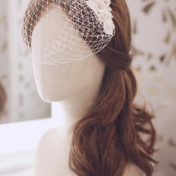 新娘蕾絲白紗頭飾 - Handmade Swarovski crystal & Lace Birdcage Veil 第2張的照片