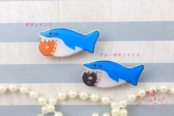 【サメに食べられてるブローチ】ボタンインコ 2枚目の画像