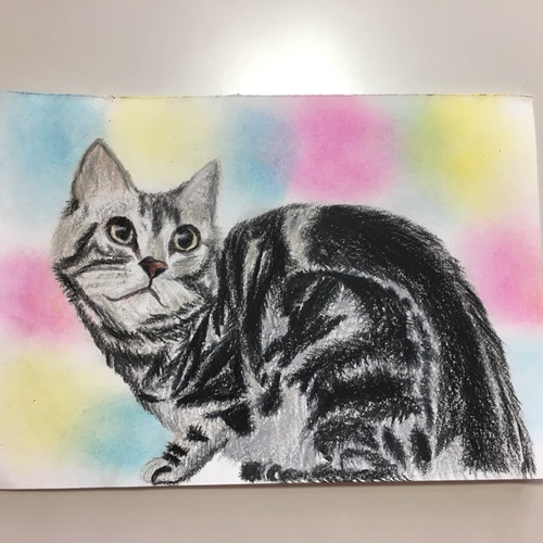 原画】筆文字アート できること 猫633 猫