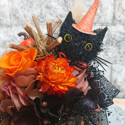 黒猫のハロウィン 2枚目の画像