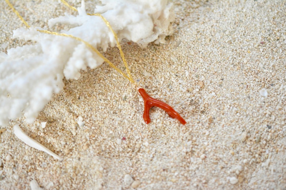 海の恵み　赤珊瑚のゴールドネックレス 2枚目の画像