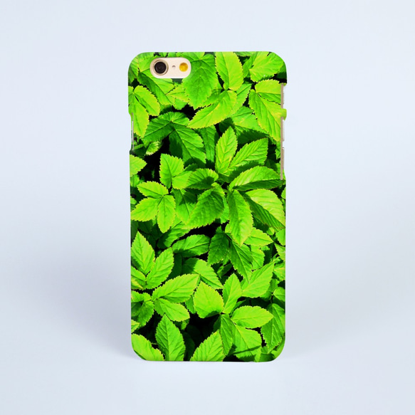 【iPhone 電話殼 Samsung Galaxy 手機殼 磨砂硬殼】綠色葉 gn2 第1張的照片
