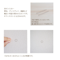 〜額縁 お花　message入り〜ひまわり　［ピン付属］　　　　　ワイヤーアート　ワイヤークラフト　向日葵　名言 8枚目の画像