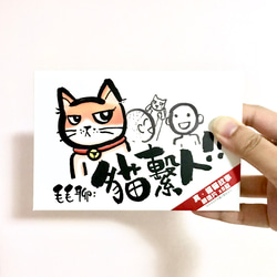 貓繫人 貓貓明信片套裝 （8款） 第1張的照片