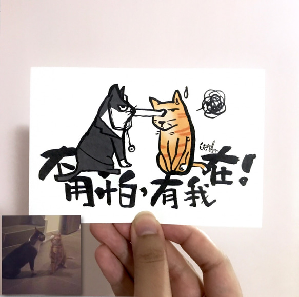 貓繫人 貓貓明信片套裝 （8款） 第4張的照片