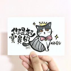 貓貓明信片 你是超寶貴的 第1張的照片