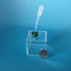 アロマペンダント  ガラス製 緑 3枚目の画像