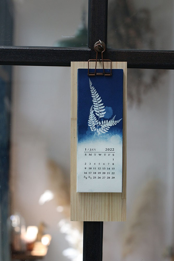 【苻日花草FuRi】[預購]2022年藍晒植物桌曆 l 植物掛曆 l 含木質底座 l 長版 第8張的照片