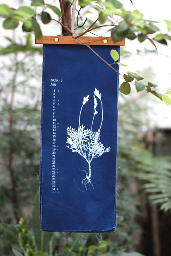 指定マレーシア[苻日花草FuRi] / 2020年植物布カレンダー/手作りの青い太陽/植物イラスト 1枚目の画像