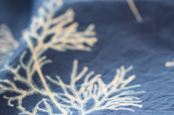 【フーリフラワー＆グラスフーリ】青い太陽の植物イラスト絵本布花・植物プリント布・ドアカーテン・布飾り 4枚目の画像