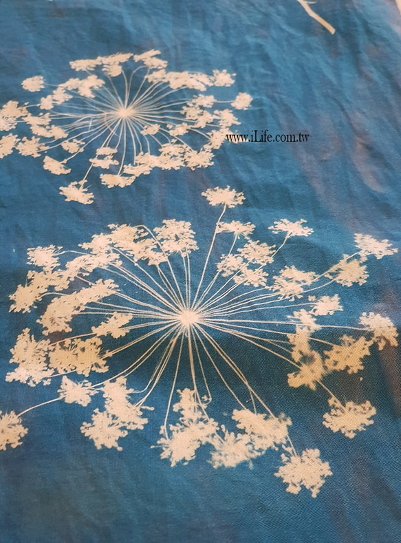 【フーリフラワー＆グラスフーリ】青い太陽の植物イラスト絵本布花・植物プリント布・ドアカーテン・布飾り 5枚目の画像