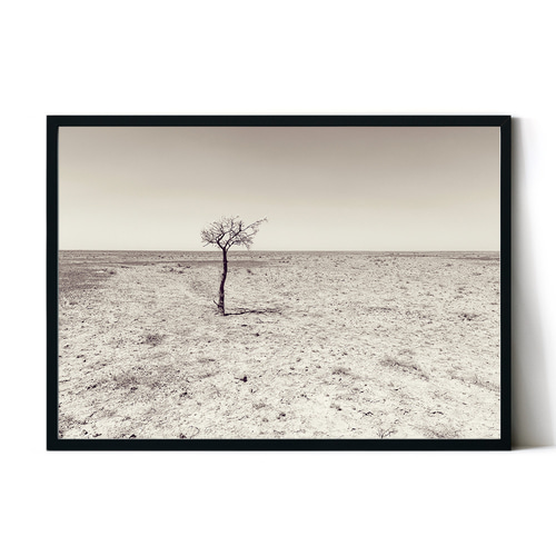 ポスター【PHOTO_06】インテリアにセピアの自然の写真ポスター。 写真