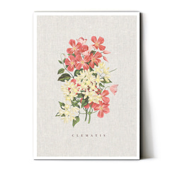 おしゃれポスターボタニカル✨ ポスター【ボタニカルA】北欧 インテリア おしゃれ 雑貨 アート