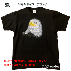 Tシャツ に 水彩 で描く  世界に1枚 のTシャツ!  オンリーワン !  鷲 M サイズ アートを気軽に着て歩こう！ 2枚目の画像