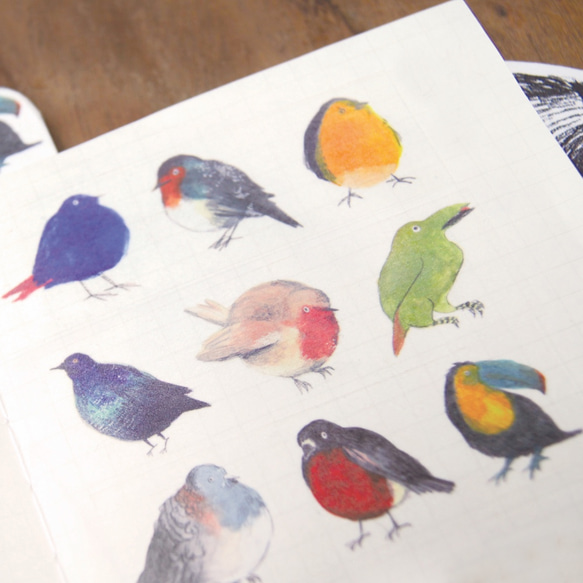 MANY BIRDS 小鳥紙膠帶 A款 第4張的照片