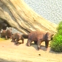 流木オブジェ、森の家族♪ 3枚目の画像