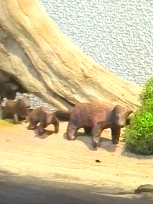 流木オブジェ、森の家族♪ 3枚目の画像