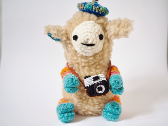 我喜歡外出！雙Mokomoko羊（哥哥）與相機配件 第1張的照片