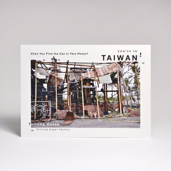 攝影明信片套組｜台灣風景(6入) 第7張的照片