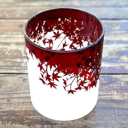 秋葉玻璃 (2014) 第2張的照片