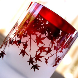 秋葉玻璃 (2014) 第3張的照片