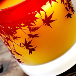 秋葉玻璃 (2014) 第5張的照片