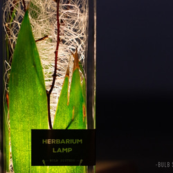 ハーバリウムランプ / bamboo leaf 2枚目の画像