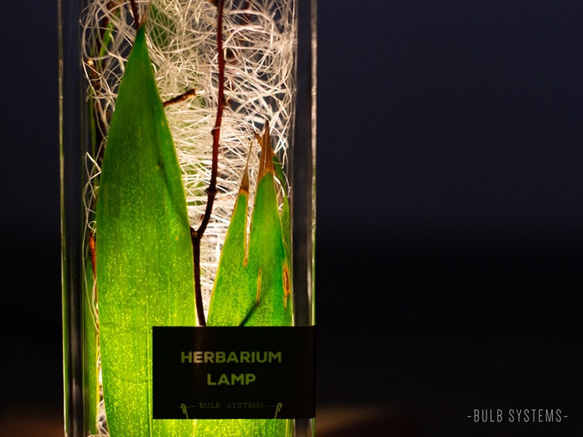 ハーバリウムランプ / bamboo leaf 2枚目の画像