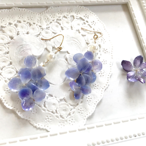 幸せを呼ぶ 本物 紫陽花 藤の花 ピアス✨ パープル〜ブルー イヤリング 