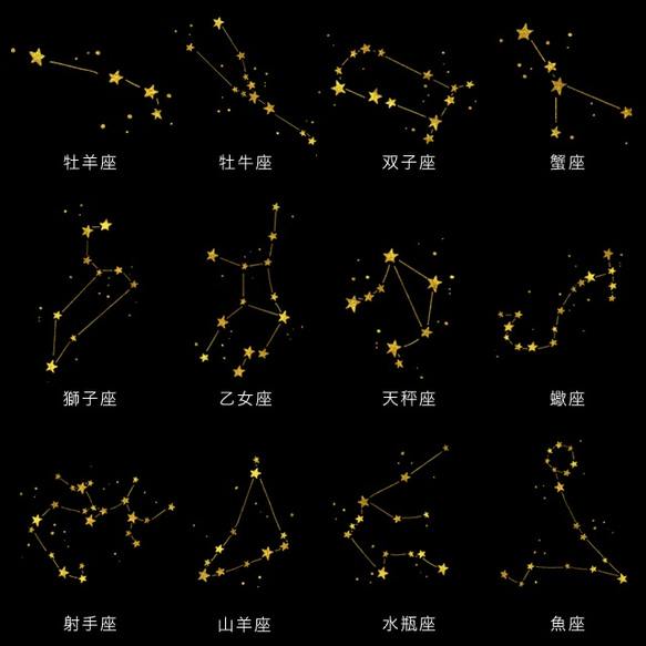 きらめく12星座☆選べるケース- 12 zodiac 2枚目の画像