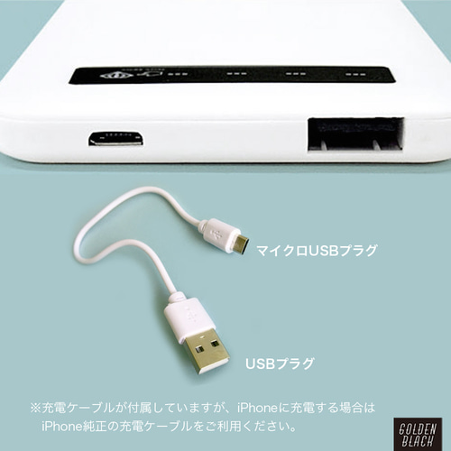 w-inds.day モバイルバッテリー USBケーブル付き w-inds.day モバイルバッテリー USBケーブル付き w-inds.day モバイル