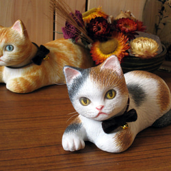 張子猫 にゃに？　三毛 1枚目の画像