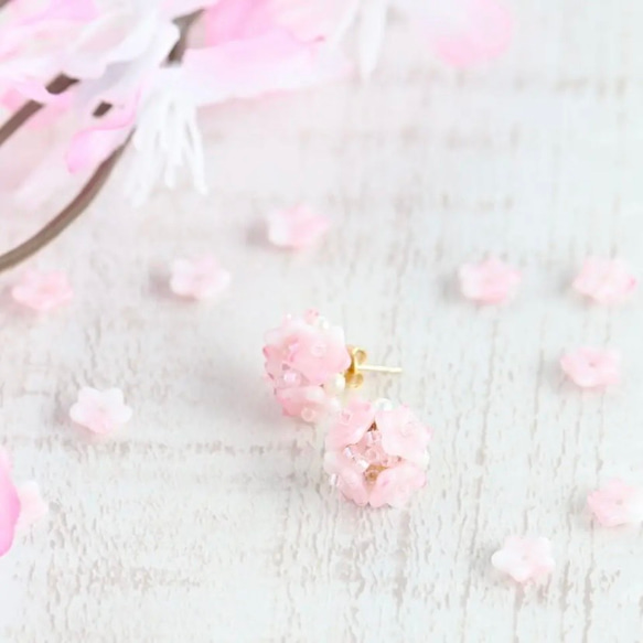 花咲く金平糖 桜 イヤリング ピアス 2枚目の画像