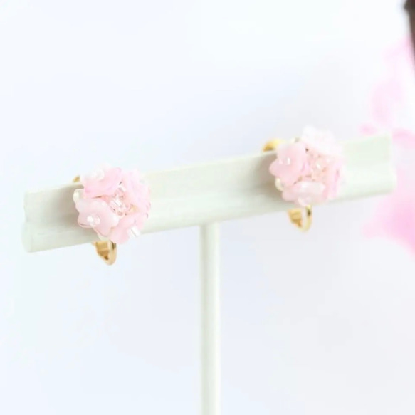 花咲く金平糖 桜 イヤリング ピアス 3枚目の画像