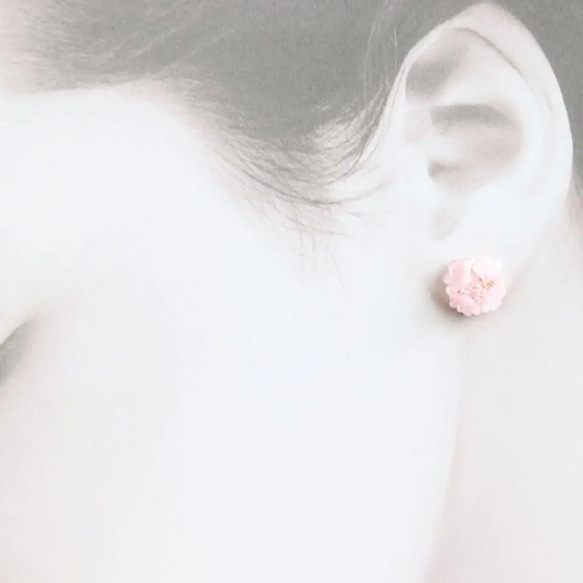 花咲く金平糖 桜 イヤリング ピアス 5枚目の画像