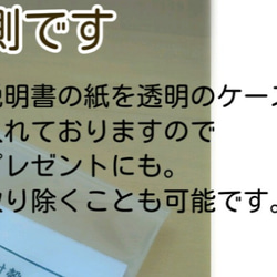 こっそり持ちたい◎●蛇の抜け殻 お守り●◎ハート&ハートホログラム●商品説明付き 3枚目の画像