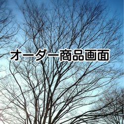 オーダー商品●開運●蛇の脱け殻 お守り●ダブル★金運✨魔除け✨長寿◆財布 スマホ、二枚 1枚目の画像