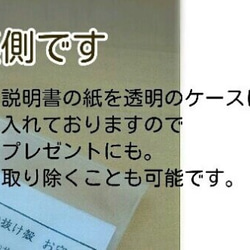 ●◎こっそり持ちたい◎●蛇の抜け殻 お守り ダブル 誕生日 プレゼント バレンタイン 商品説明付き★ 3枚目の画像