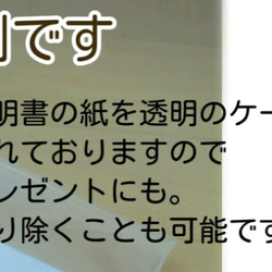 ■こっそり持ちたい おしゃれな 北海道産 蛇の脱け殻 お守り■シンプル■商品説明書付 3枚目の画像