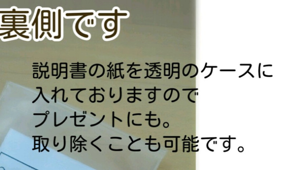 ■こっそり持ちたい おしゃれな 北海道産 蛇の脱け殻 お守り■シンプル■商品説明書付 3枚目の画像