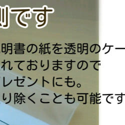 こっそり持ちたい●蛇の脱け殻 お守り●蝶々●クリスマス 誕生日 ギフト ●財布 スマホ ポーチ 商品説明書付 3枚目の画像