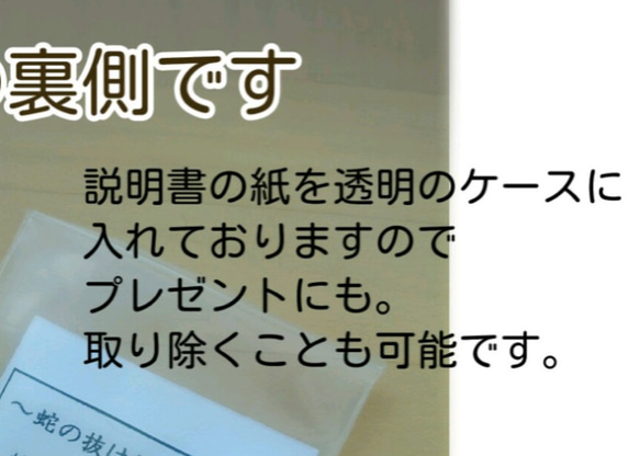 イニシャル お守り● ●蛇の脱け殻 お守り●プチギフト ギフト クリスマス 誕生日 商品説明書付 3枚目の画像