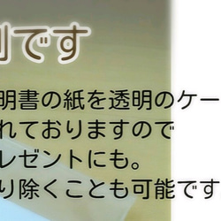 こっそり持ちたい● 四葉のクローバー＆蛇の脱け殻お守り●ギフト 財布 プチギフト クリスマス 誕生日 3枚目の画像